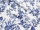 Quiltrücken - backing 275 cm Großblumig Blau auf Creme Hintergrund