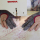 Regis Grip Machine Quilting Gloves -- gray lace -- L