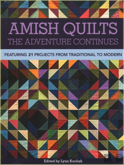 Amish Quilts: the adventure continues: featuring 21 projects from traditional to modern