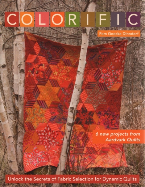 Colorific: 6 new projects from Aardvark Quilts - Pam Goecke Dinndorf